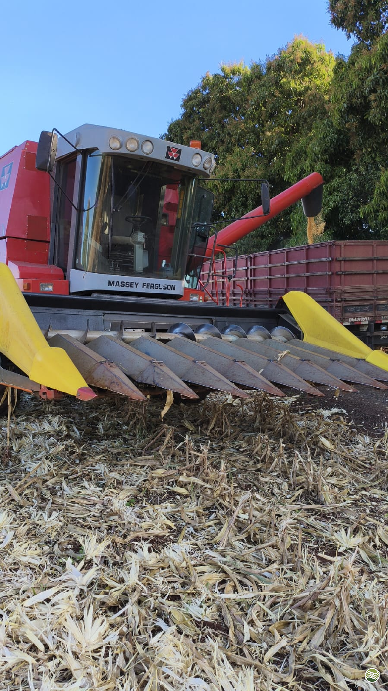 PLATAFORMA COLHEITADEIRA MASSEY FERGUSON MILHO Camtrac Máquinas Agrícolas MARIALVA PARANÁ PR